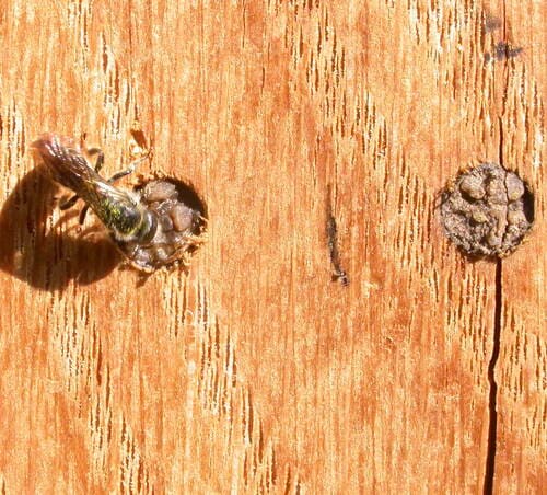 image donnant un aperçu de la réalisation